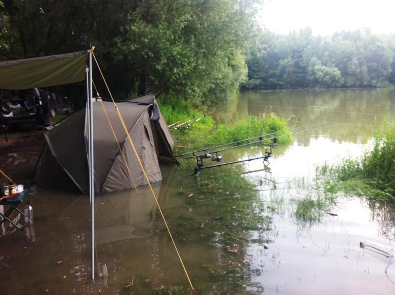 din natura - 734379431425683607474794536966n.jpg